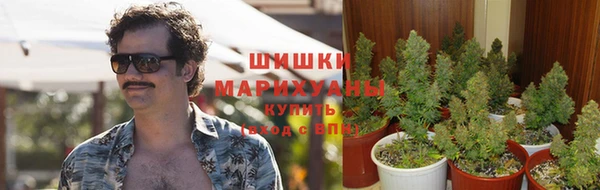 гидра Волосово