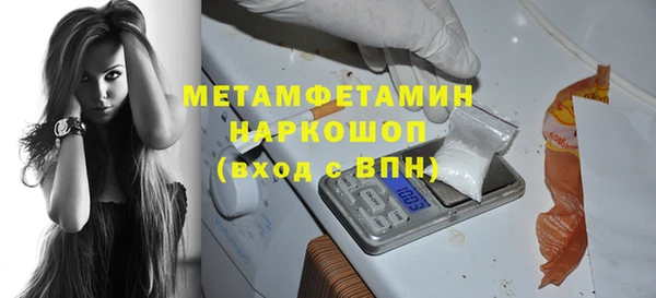 индика Волоколамск