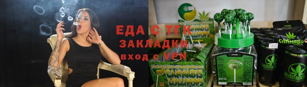 индика Волоколамск