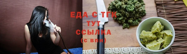индика Волоколамск