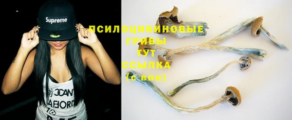 индика Волоколамск