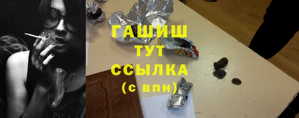 индика Волоколамск