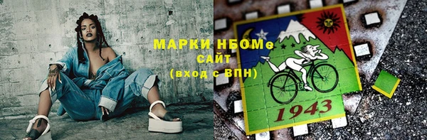 индика Волоколамск
