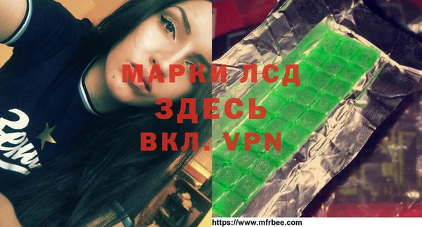 индика Волоколамск