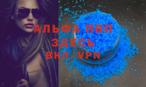 индика Волоколамск