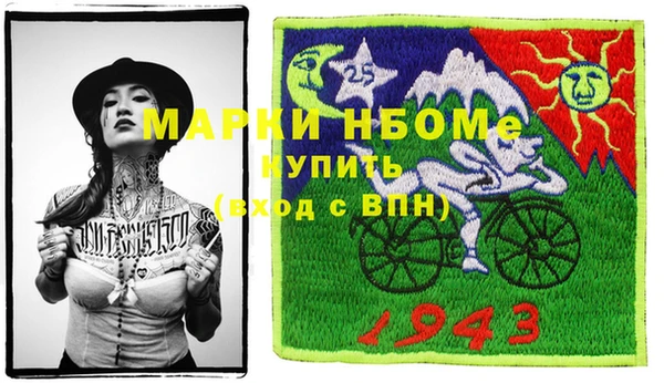 индика Волоколамск