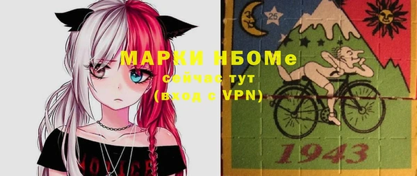 индика Волоколамск