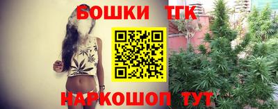 индика Заволжье