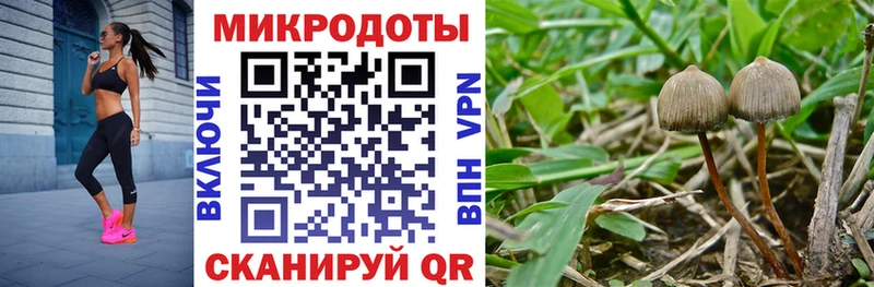 Псилоцибиновые грибы Magic Shrooms  Медногорск 